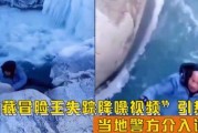 宋祖德最新爆料冒险王,冒险王背后惊人真相，揭秘娱乐圈不为人知的一面