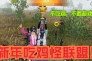 新年吃鸡爆料视频下载安装,视频揭秘下载安装攻略，畅玩新版本！