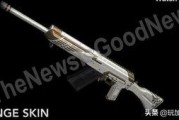 pubg新枪最新爆料,全新枪械亮相，pubg新枪爆料引玩家热议！