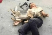 最新偷鱼爆料事件,揭秘幕后黑手与惊人内幕