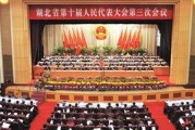 湖北记者爆料最新消息,重大事件引发社会关注