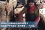 隆昌卖鱼妹爆料事件视频,真相究竟如何？