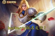 王者神偷夏洛特爆料视频,王者神偷背后的神秘故事
